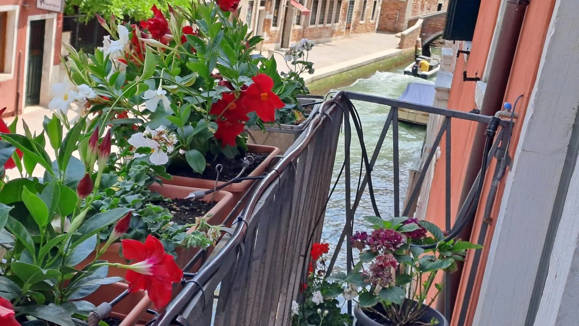 The Doge Suite Venice Italy